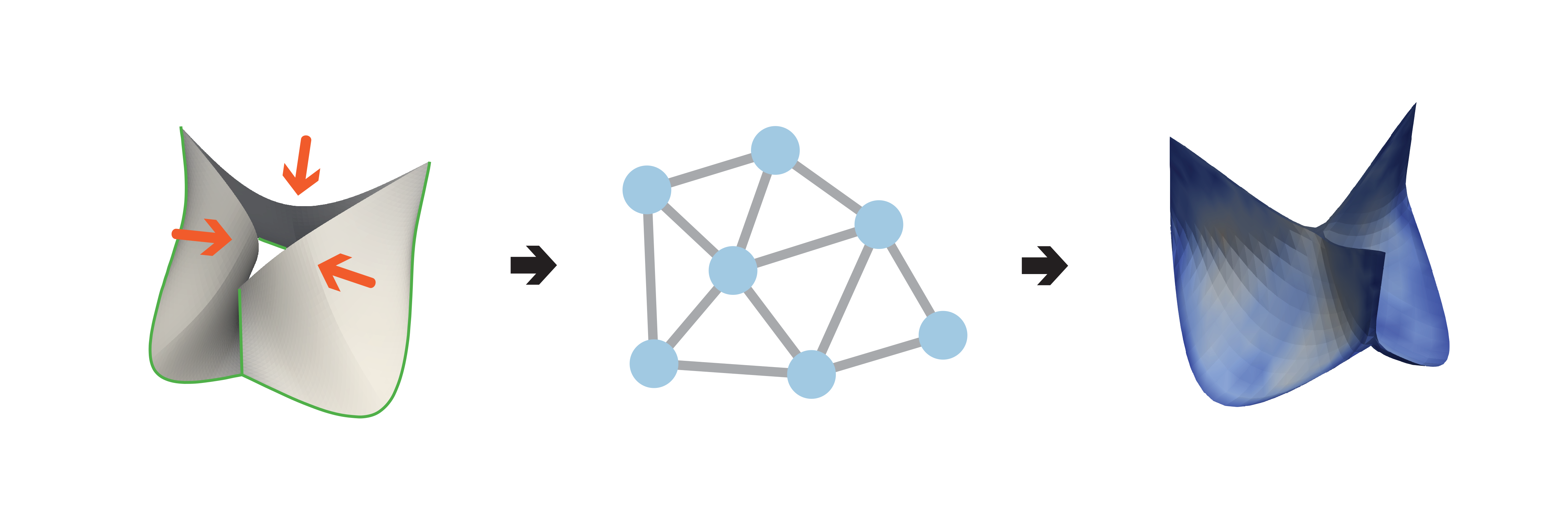 placeholder image 2